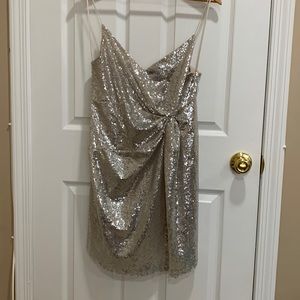 Zara Sequin Dress